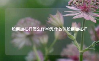 股票加杠杆怎么作举例,什么叫股票加杠杆