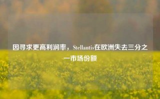 因寻求更高利润率，Stellantis在欧洲失去三分之一市场份额