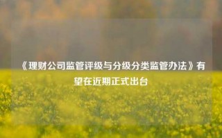 《理财公司监管评级与分级分类监管办法》有望在近期正式出台