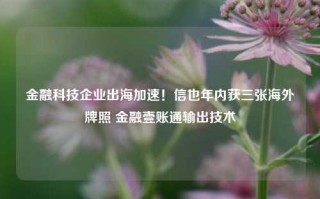 金融科技企业出海加速！信也年内获三张海外牌照 金融壹账通输出技术