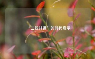 “三线并进”的时代启示