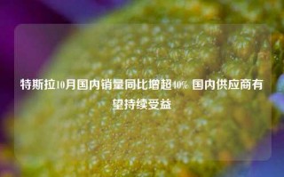 特斯拉10月国内销量同比增超40% 国内供应商有望持续受益