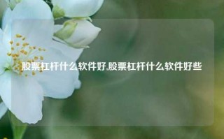 股票杠杆什么软件好,股票杠杆什么软件好些