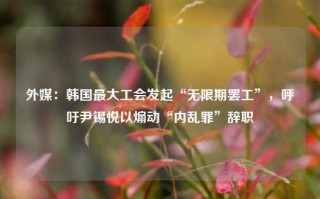 外媒：韩国最大工会发起“无限期罢工”，呼吁尹锡悦以煽动“内乱罪”辞职