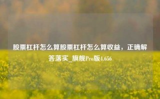 股票杠杆怎么算股票杠杆怎么算收益，正确解答落实_旗舰Pro版4.656