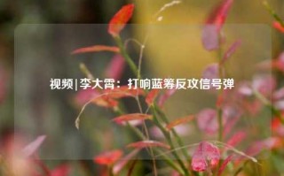 视频|李大霄：打响蓝筹反攻信号弹