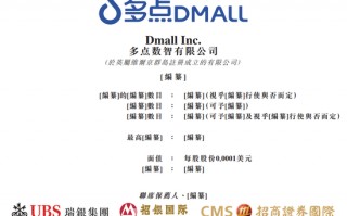 多点DMALL冲击港股IPO IDG资本、腾讯、金蝶等参投