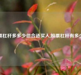 股票杠杆多多少倍合适买入,股票杠杆有多少倍