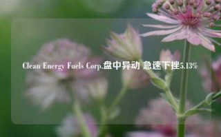 Clean Energy Fuels Corp.盘中异动 急速下挫5.13%