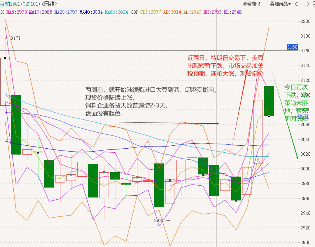 豆粕：18年贸易战VS 24年特朗普交易-第3张图片-十倍杠杆-股票杠杆