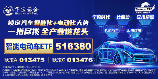 大盘震荡回调，医疗逆市冲高，医疗ETF（512170）收涨1.36%！泛科技局部走强，智能电动车ETF跑赢沪指！-第9张图片-十倍杠杆-股票杠杆