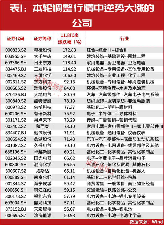 “国家队”、陆股通资金重仓！这些公司或被市场错杀！-第1张图片-十倍杠杆-股票杠杆