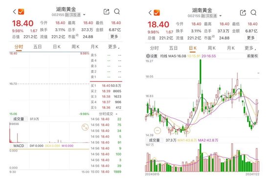 突然，6000亿元黄金！002155周末公告-第1张图片-十倍杠杆-股票杠杆