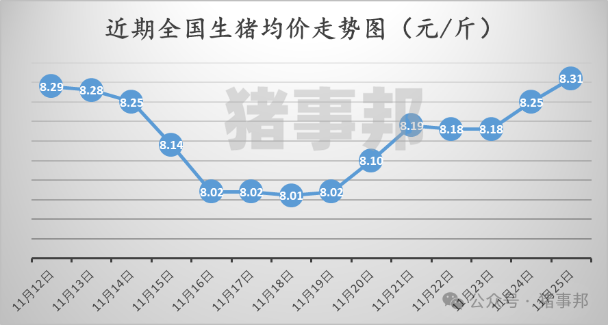 11月25日猪价汇总（涨势收窄，明日猪价或有变！）-第3张图片-十倍杠杆-股票杠杆