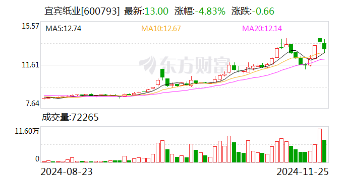 宜宾纸业：子公司拟投建两项目 项目总投资合计5.4亿元-第1张图片-十倍杠杆-股票杠杆