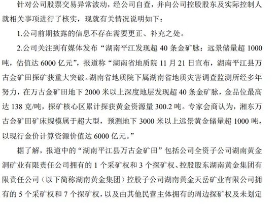 一地发现超40条金矿脉，这只黄金股躺赢？公司最新回应！AI医疗有新利好-第3张图片-十倍杠杆-股票杠杆