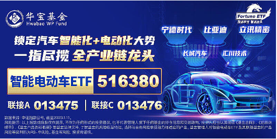 重磅！欧盟或取消电动汽车关税？智能电动车ETF（516380）盘中涨逾2.5%，机构：板块面临三大特征，五个变化-第5张图片-十倍杠杆-股票杠杆