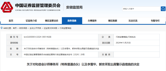 监管出手！和信所及两名会计师被出具警示函-第1张图片-十倍杠杆-股票杠杆