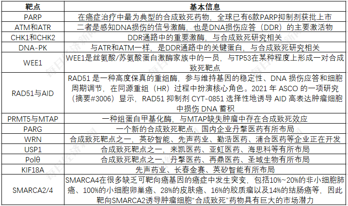 创新药企无奈上小红书融资背后：“合成致死”赛道“又火又卷”  但多个单靶点此前频频爆雷-第3张图片-十倍杠杆-股票杠杆