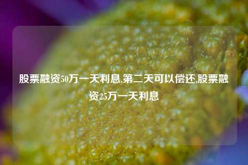 股票融资50万一天利息,第二天可以偿还,股票融资25万一天利息-第1张图片-十倍杠杆-股票杠杆