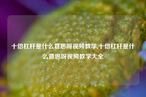 十倍杠杆是什么意思呀视频教学,十倍杠杆是什么意思呀视频教学大全-第1张图片-十倍杠杆-股票杠杆