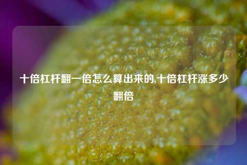 十倍杠杆翻一倍怎么算出来的,十倍杠杆涨多少翻倍-第1张图片-十倍杠杆-股票杠杆