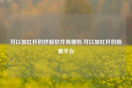 可以加杠杆的炒股软件有哪些,可以加杠杆的股票平台-第1张图片-十倍杠杆-股票杠杆