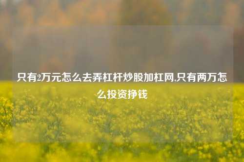 只有2万元怎么去弄杠杆炒股加杠网,只有两万怎么投资挣钱-第1张图片-十倍杠杆-股票杠杆