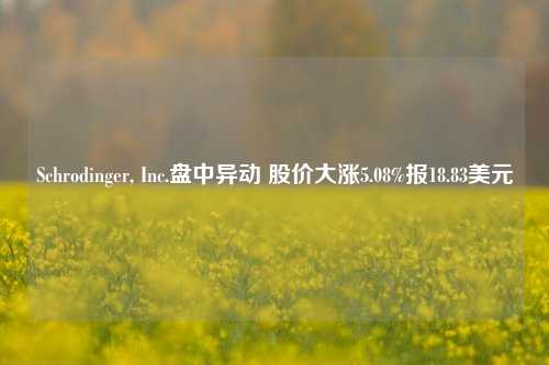 Schrodinger, Inc.盘中异动 股价大涨5.08%报18.83美元-第1张图片-十倍杠杆-股票杠杆