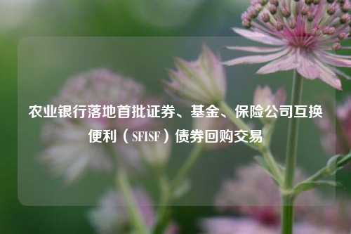 农业银行落地首批证券、基金、保险公司互换便利（SFISF）债券回购交易-第1张图片-十倍杠杆-股票杠杆