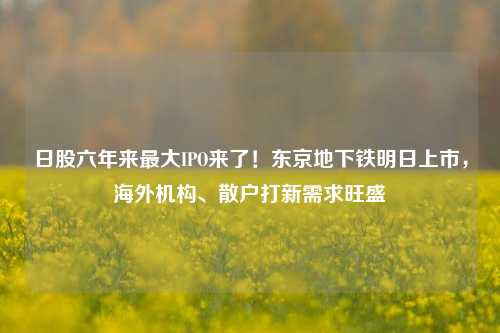 日股六年来最大IPO来了！东京地下铁明日上市，海外机构、散户打新需求旺盛-第1张图片-十倍杠杆-股票杠杆