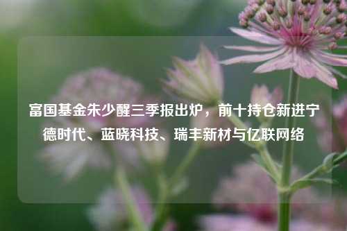 富国基金朱少醒三季报出炉，前十持仓新进宁德时代、蓝晓科技、瑞丰新材与亿联网络-第1张图片-十倍杠杆-股票杠杆