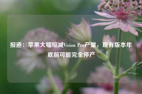 报道：苹果大幅缩减Vision Pro产量，现有版本年底前可能完全停产-第1张图片-十倍杠杆-股票杠杆