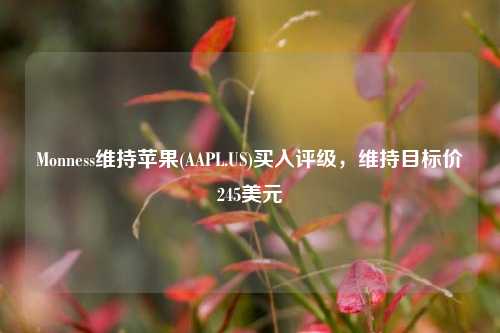 Monness维持苹果(AAPL.US)买入评级，维持目标价245美元-第1张图片-十倍杠杆-股票杠杆