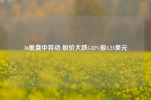 36氪盘中异动 股价大跌5.82%报4.21美元-第1张图片-十倍杠杆-股票杠杆