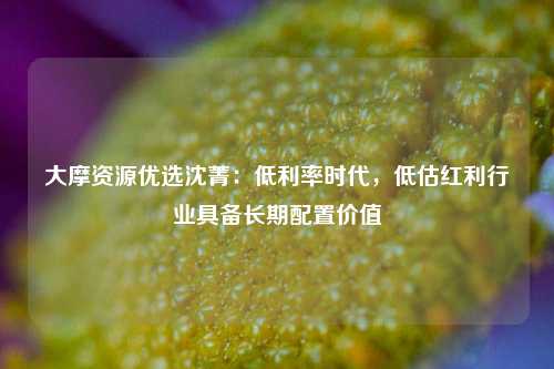 大摩资源优选沈菁：低利率时代，低估红利行业具备长期配置价值-第1张图片-十倍杠杆-股票杠杆