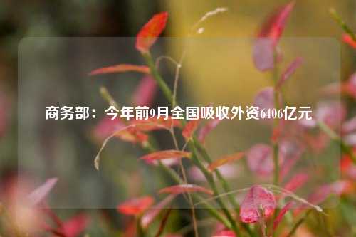 商务部：今年前9月全国吸收外资6406亿元-第1张图片-十倍杠杆-股票杠杆