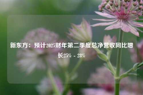 新东方：预计2025财年第二季度总净营收同比增长25% - 28%-第1张图片-十倍杠杆-股票杠杆