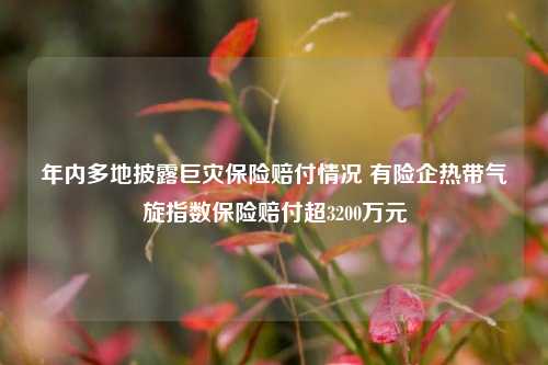 年内多地披露巨灾保险赔付情况 有险企热带气旋指数保险赔付超3200万元-第1张图片-十倍杠杆-股票杠杆