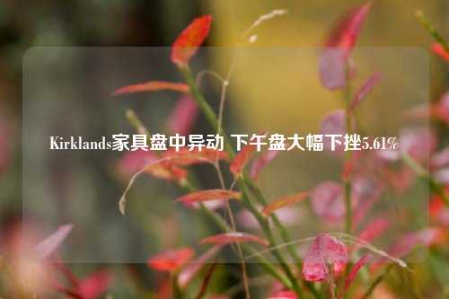 Kirklands家具盘中异动 下午盘大幅下挫5.61%-第1张图片-十倍杠杆-股票杠杆