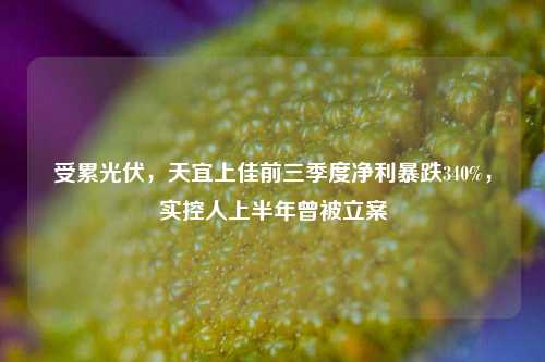 受累光伏，天宜上佳前三季度净利暴跌340%，实控人上半年曾被立案-第1张图片-十倍杠杆-股票杠杆