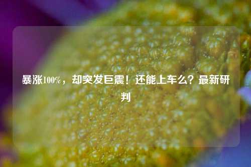 暴涨100%，却突发巨震！还能上车么？最新研判-第1张图片-十倍杠杆-股票杠杆