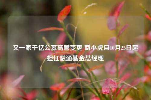 又一家千亿公募高管变更 商小虎自10月25日起担任融通基金总经理-第1张图片-十倍杠杆-股票杠杆