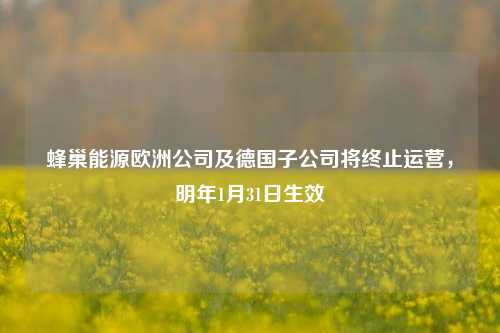 蜂巢能源欧洲公司及德国子公司将终止运营，明年1月31日生效-第1张图片-十倍杠杆-股票杠杆