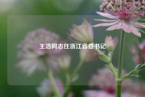 王浩同志任浙江省委书记-第1张图片-十倍杠杆-股票杠杆