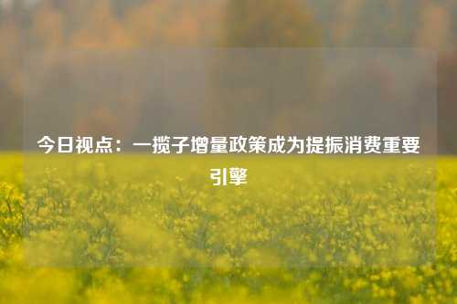 今日视点：一揽子增量政策成为提振消费重要引擎-第1张图片-十倍杠杆-股票杠杆