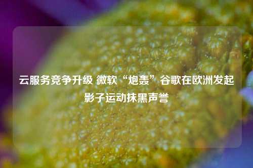 云服务竞争升级 微软“炮轰”谷歌在欧洲发起影子运动抹黑声誉-第1张图片-十倍杠杆-股票杠杆