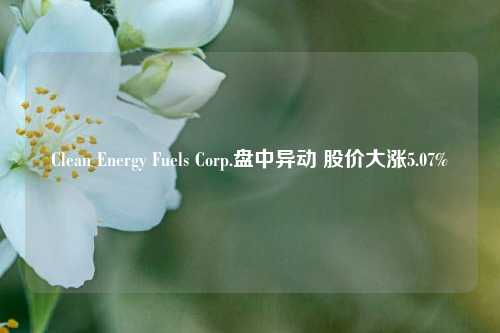 Clean Energy Fuels Corp.盘中异动 股价大涨5.07%-第1张图片-十倍杠杆-股票杠杆