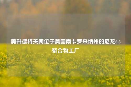 奥升德将关闭位于美国南卡罗来纳州的尼龙6,6聚合物工厂-第1张图片-十倍杠杆-股票杠杆