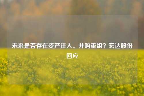 未来是否存在资产注入、并购重组？宏达股份回应-第1张图片-十倍杠杆-股票杠杆